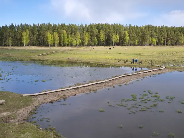 Mind-bending optical illusion image challenges perception and reality