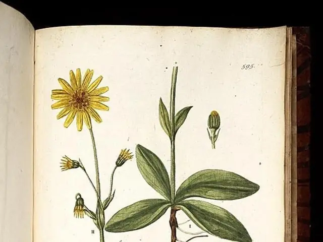 Autumn reading recommendations for engaging literature