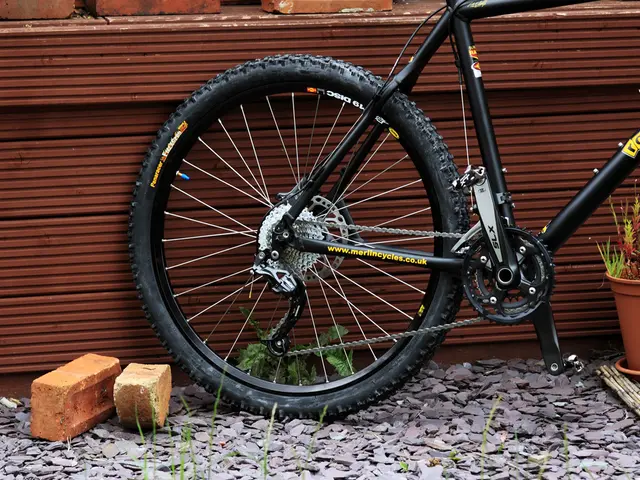 Lawmakers suggest establishing a mineral trading partnership to counterbalance China's dominance