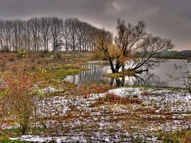 Rainfall Excess Undermines Prospects for Pulse Crop Yields (Editorial)