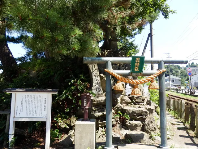 International illegal logging operation dismantled in Nong Khai