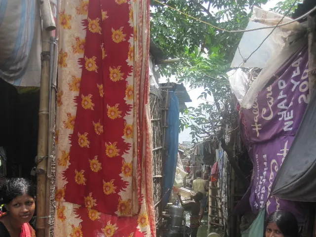 Private Land Near a Slum Classified as a Slum: Bombay High Court Queries SRA About Legitimacy