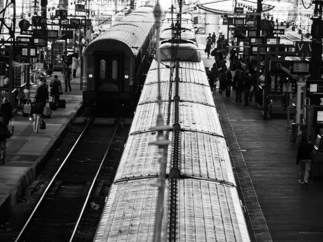 Transport Group Alleges Law Violations by Transport Ministry Official