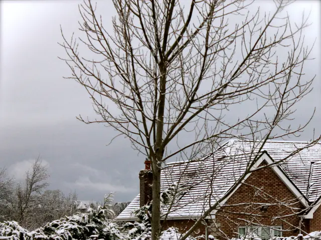 Severe frost warnings anticipated for Oneida County this Saturday