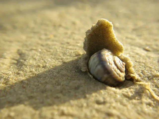 André Ventura discloses identifying names of Chega's "secret cabinet"