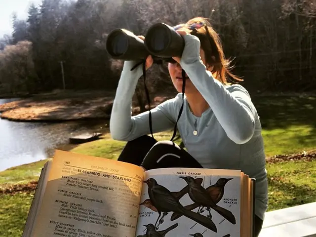 Chris de Burgh's Fortune Explored: An Insight into His Wealth and Achievements