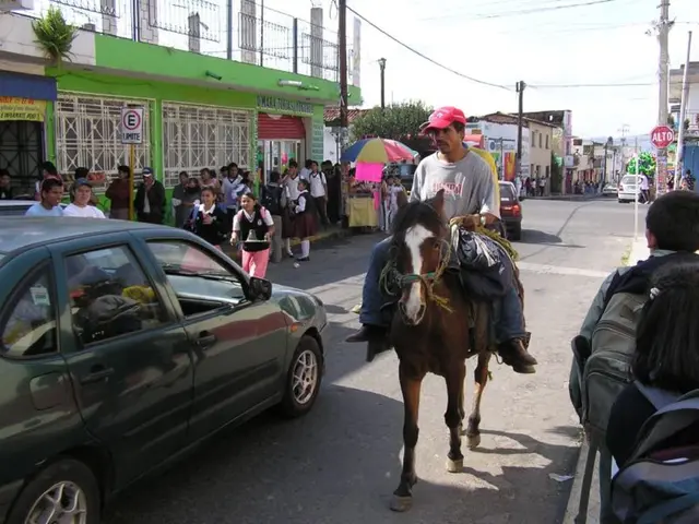 Candidates for NYC mayor's stance on outlawing horse-drawn carriages?