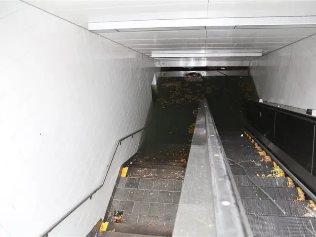 "The circulating video, allegedly portraying an escalator failure at BM Habitat Mall in Mysuru, has...