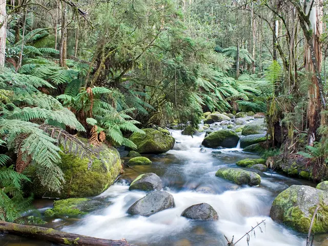 Federal nominee steps down from contention for senior water position due to opposition from certain...