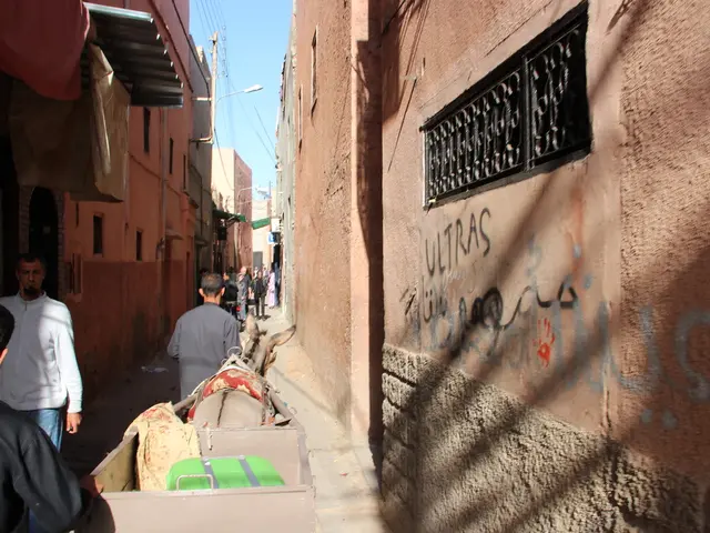 Proposal for an extension of deadline for adopting new rules, spanning from January 1st to December...