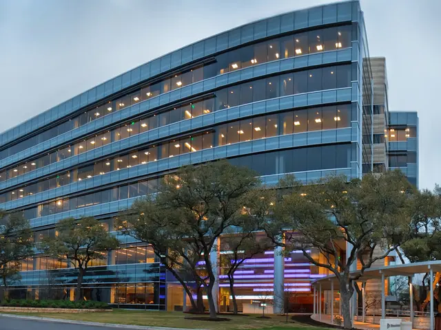 Obstructed flow of traffic due to a fallen tree on the Sochi highway