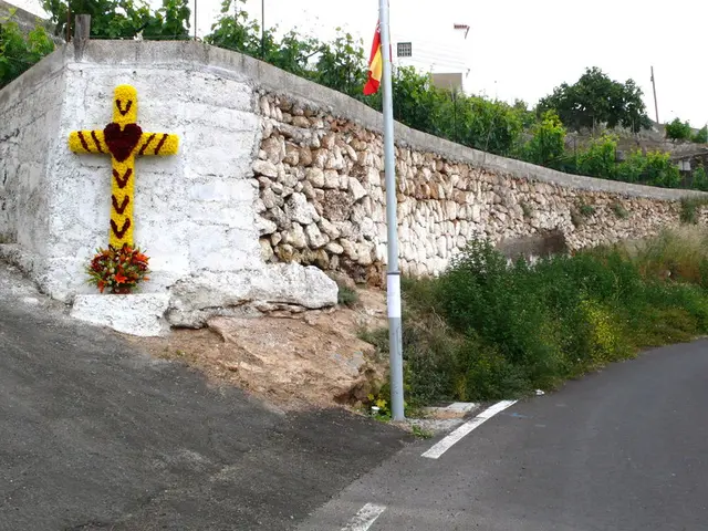 Is Salonen inquiring about the definition of 'surrender' implying relinquishing control or...