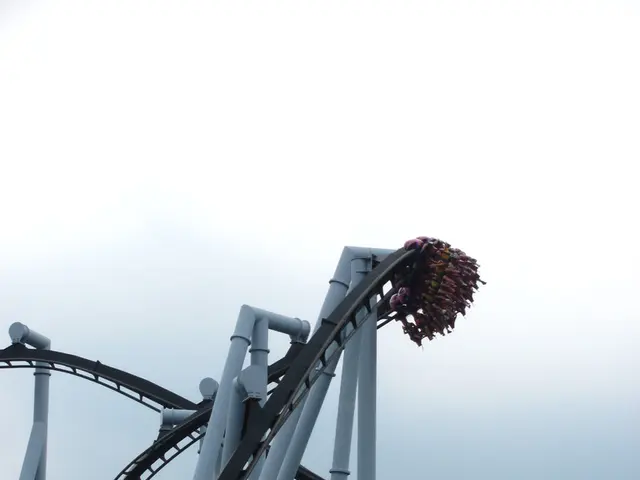 Rider on a roller coaster in an amusement park meets tragic fate, succumbing to death shortly after...