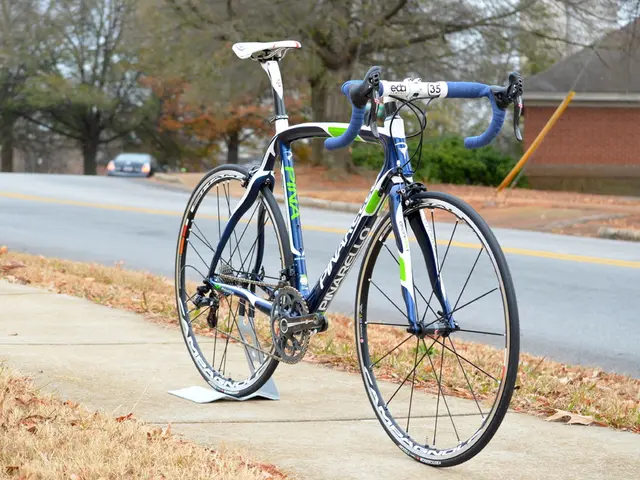 Accident on a Cliffside: Bicycle Theft After a Fall - Fleeing the Scene of the Accident -...