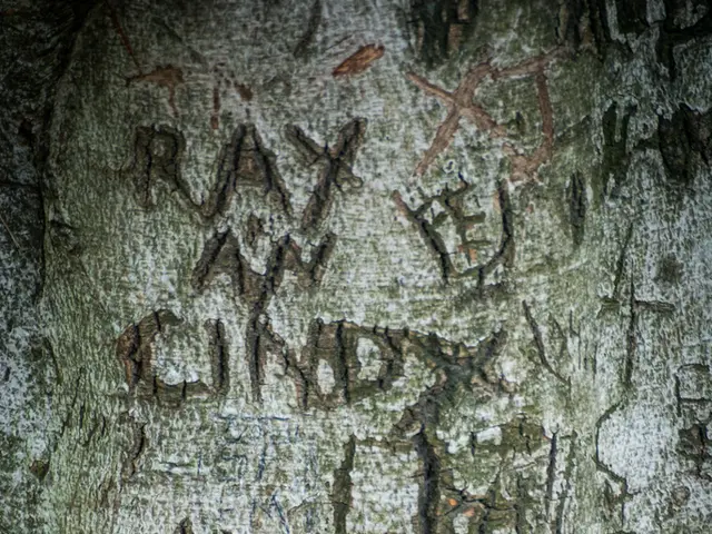 Workers' safeguard now includes a proposal for a law targeting radiation risks, as approved by the...