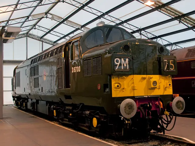 Kiel's KSC: Šimić yet to find net success