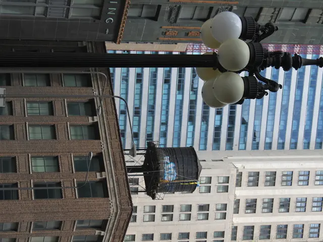 Blossoming Oldenburgia Offers Heated Summer Conditions