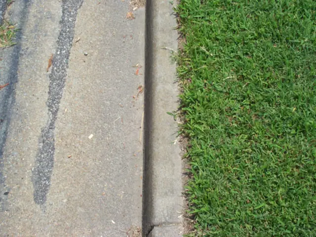 Warning on Crops Burning Issues Raised by SC in DC