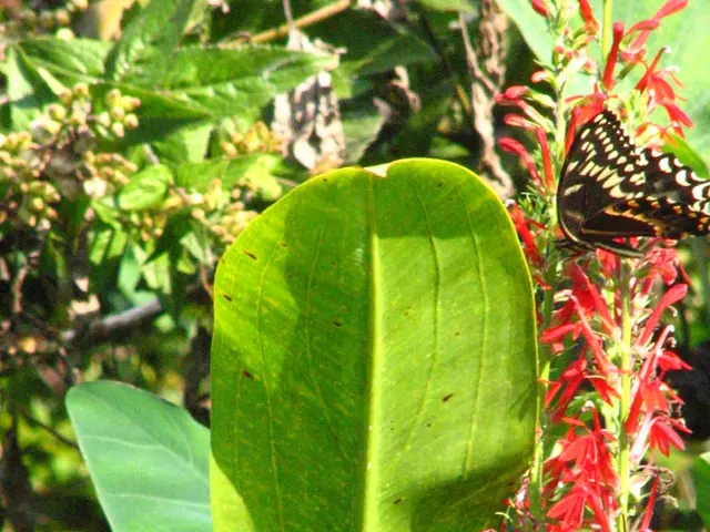 Delhi under Modi's Leadership Post Kejriwal: Victory for Modi, Test for BJP (Shikha Mukerjee)