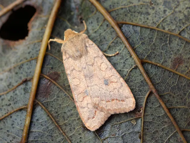 Odisha authorities have lodged a complaint against Rahul Gandhi for alleged anti-national...