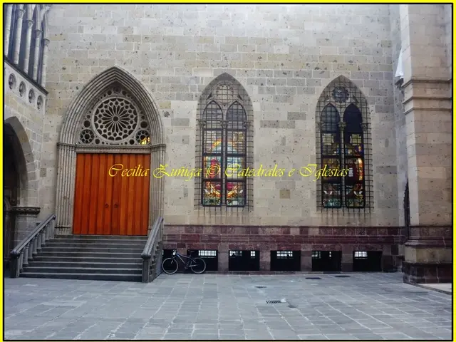 Merz Escapes Israeli Restrictions or Penalties