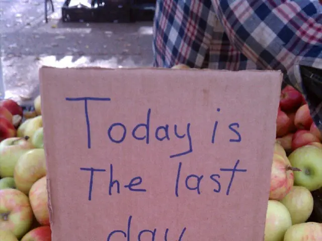 Current Weather Conditions