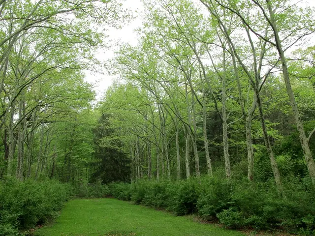 Biden's agricultural initiative geared towards climate-friendly practices, though imperfect, was...