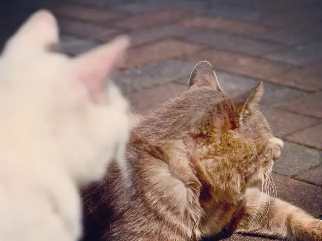 Strict Leash Rules and Exceptional Pet Owners in Crime Literature's Most Criminal Worlds