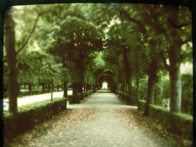 U.S. Senator Martin Heinrich of New Mexico voices opposition to the reversal of the Roadless Rule