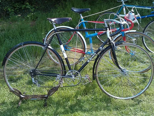 Exploring the wild landscapes of Britain on a bicycle: Strategies for cyclists to aid in the...