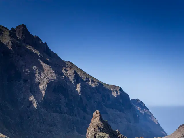 Experience the 2025 Kingdom Day Parade live on Monday, 17th February