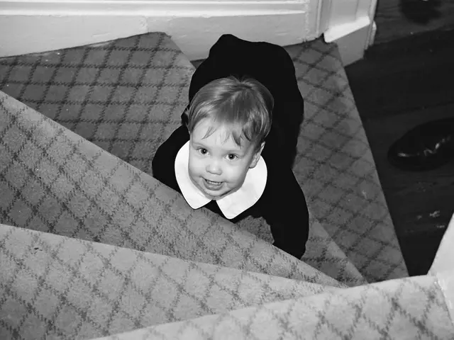 Toddler goes missing following a torrential downpour in California, as the car he was in gets...