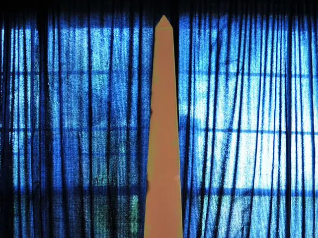 Government Justifies Expenses Involved in Magdeburg Procedures