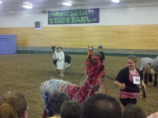 "David Maxwell's impending separation, slated for next month, is anticipated to continue delivering...