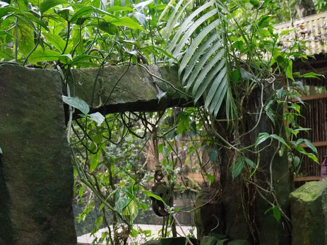 Streamlined Government Actions Boost Essential Mineral and Energy Infrastructure Projects within...