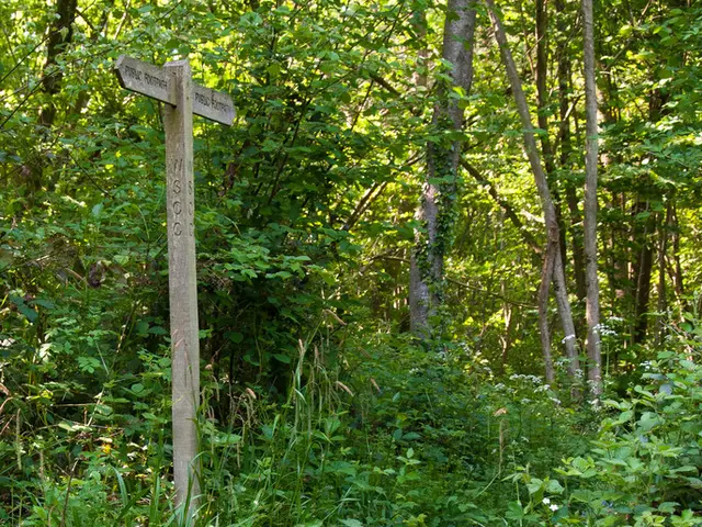 Daily Wordle Challenge Solution Clue for Today's Complex Riddle