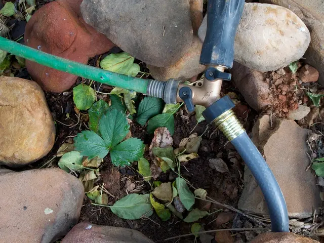 Financial distress among fracking companies: With numerous gas producers collapsing due to debt,...