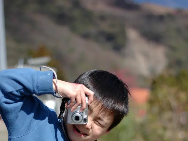 Israel plans to withdraw financial support for national awards following the acquisition of a film...