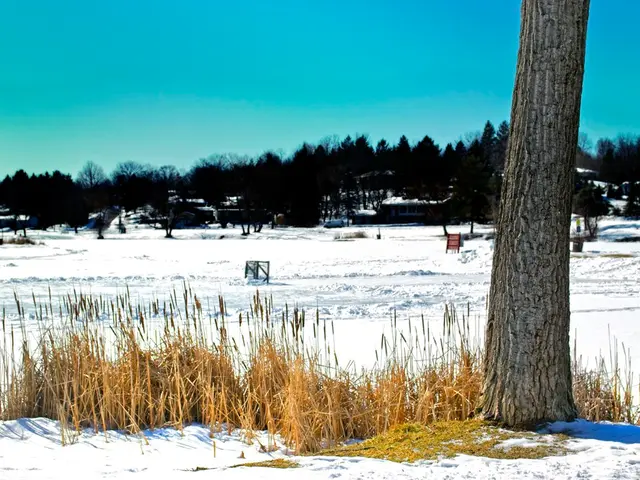 Anticipated Autumn Weather Predictions Suggest Potential Initial Snowfall Date on Centennial...