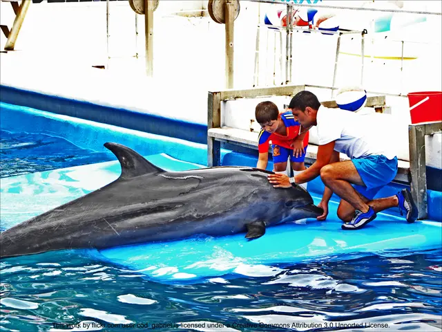 Lake Constance's tiny shark instigates heart flutters