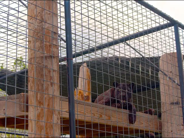 Marvel's Black Panther delivers on all fronts for enthusiastic superhero moviegoers, delivering a...