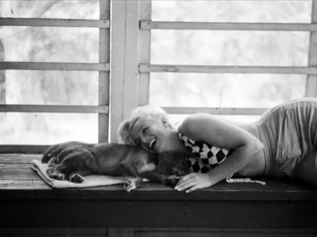 Danger Signals for Women: Resurfaced Fraudulent 'Prosperous Entrepreneur' Reprises on Dating Sites,...