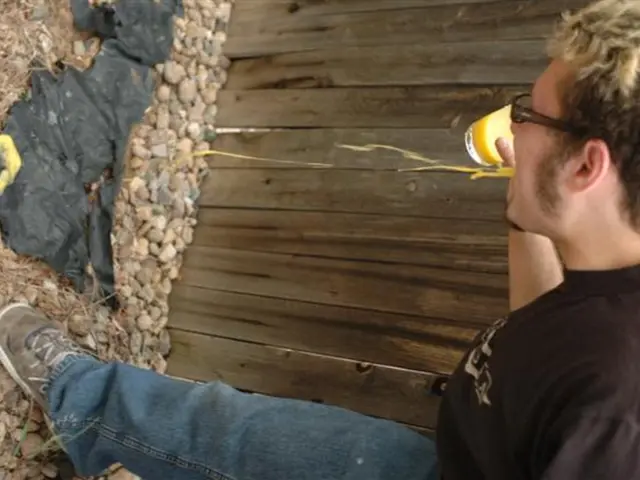 Interviewed UFC star resorts to explicit language following exhilarating knockout win