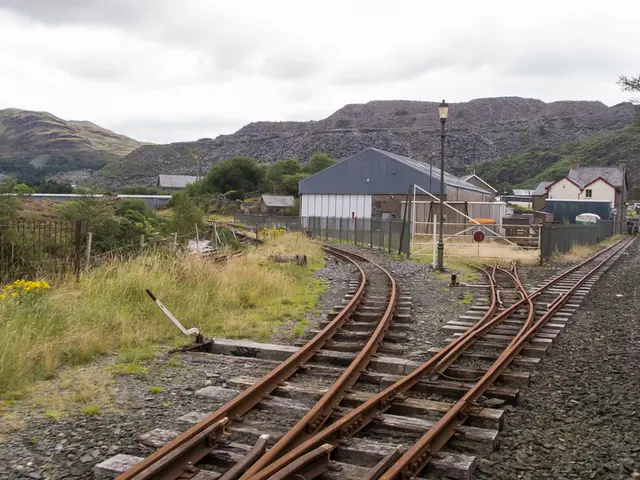 Inauguration Day Unfurled