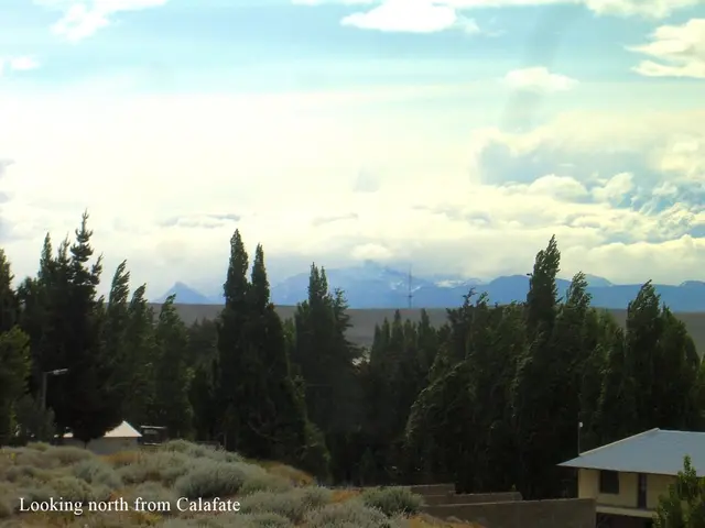 Exploring potential financial support for Palestinians residing in the West Bank, Germany pursues...