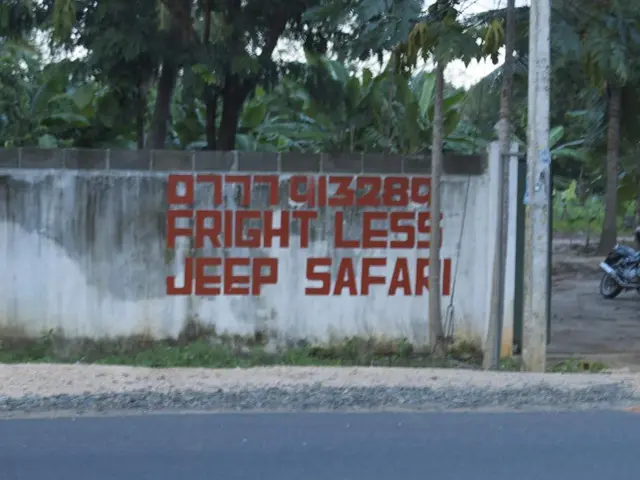 ECB President voices concern over potential peril should France face a collapse