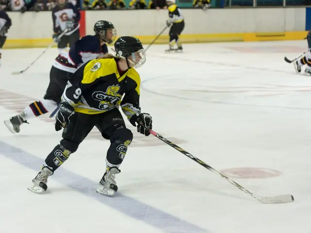 Colorado Hockey Team: Avalanche