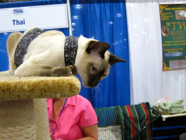 Police force, PNP, stands ready for security support to International Container Terminal (ICI)