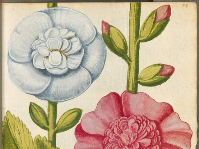 The Fragrance Chronicles - Narrative of a Homicide