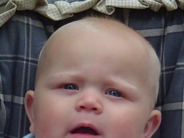 Decision Proposal: New Regulations to Be Considered by the Commission Following Application...